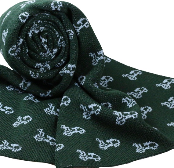 Sciarpa verde con Vespe blu