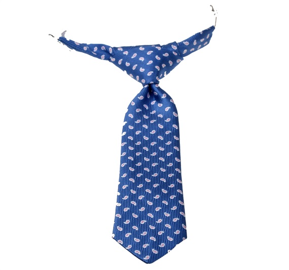 Cravatta Bambino Azzurra Cashmere Rosa