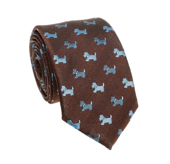 Cravatta Cadetto Marrone Schnauzer Blu