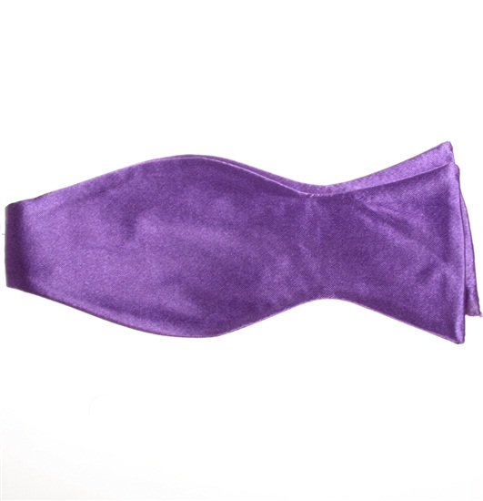 Cravatta a Farfalla Viola