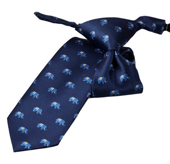Cravatta Bambino Blu con Elefanti
