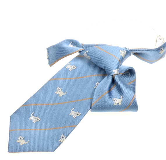Cravatta Bambino Blu con Gattini Bianchi