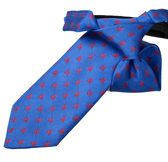 Cravatta Bambino Blu con Teschi Rossi