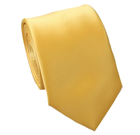 Cravatta e Fazzoletto Giallo