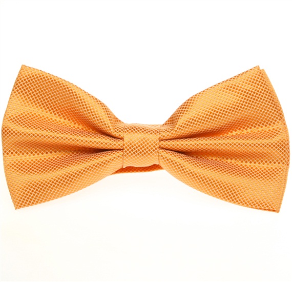 Papillon Giallo