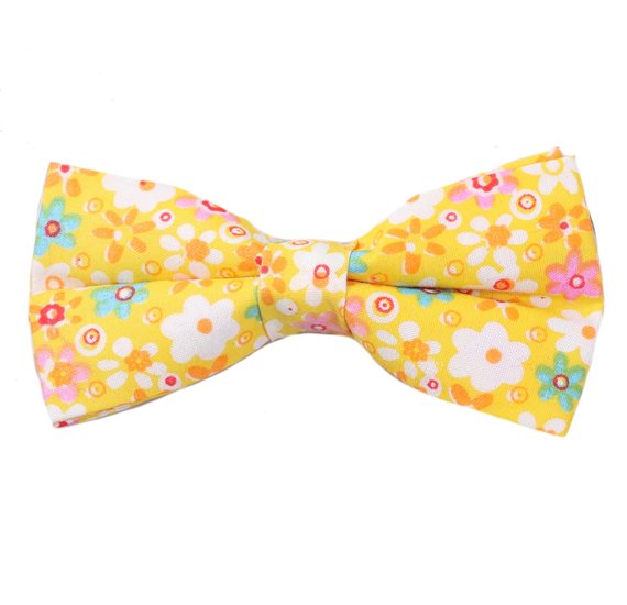 Papillon Giallo Fiori