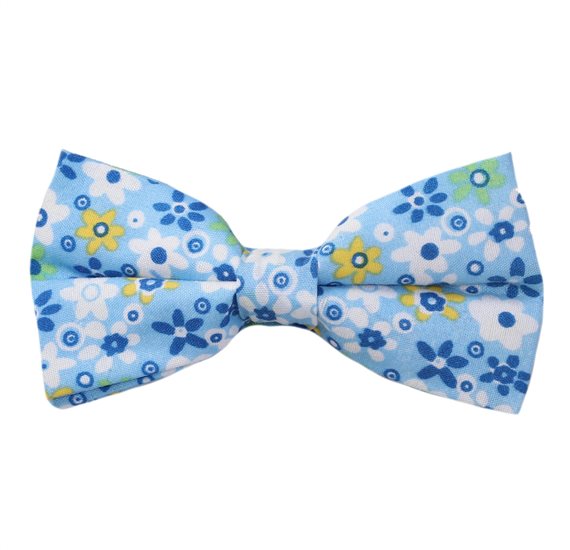 Papillon Azzurro Cielo Fiori Blu