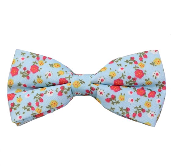Papillon Azzurro Cielo Fiori Rossi