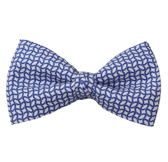 Papillon Blu Gemelli