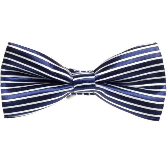 Papillon Blu Navy a Righe Bianche