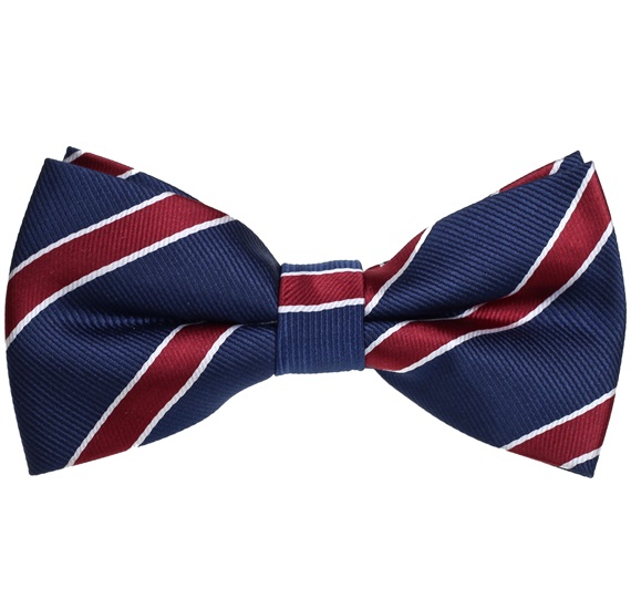 Papillon Blu Navy a Righe Bordeaux