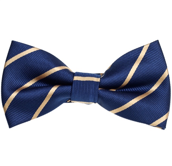 Papillon Blu Scuro a Righe Oro