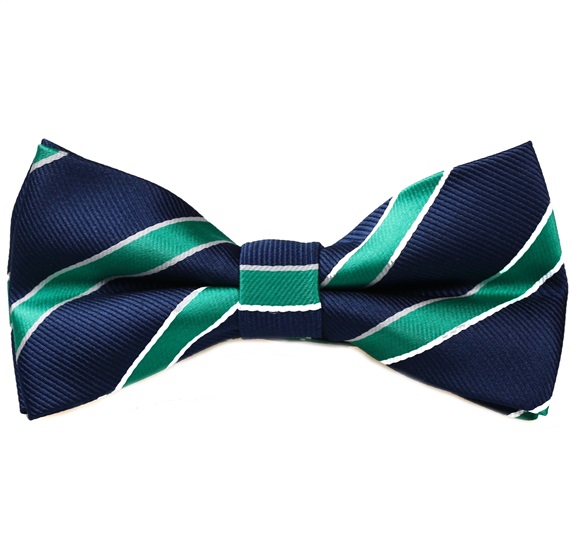 Papillon Blu Navy a Righe Verdi