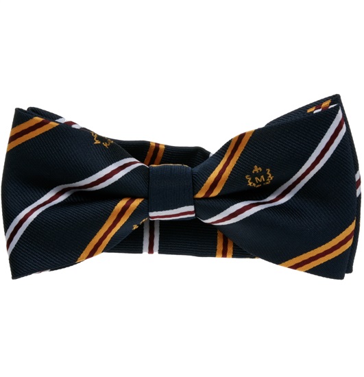 Papillon Blu Navy Righe Oro e Bianche
