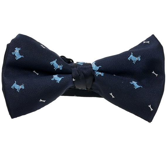 Papillon Blu Scuro Schnauzer Blu Cielo