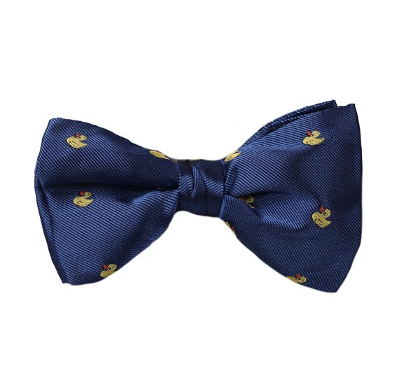 Papillon Blu Royal con Anatre Gialle