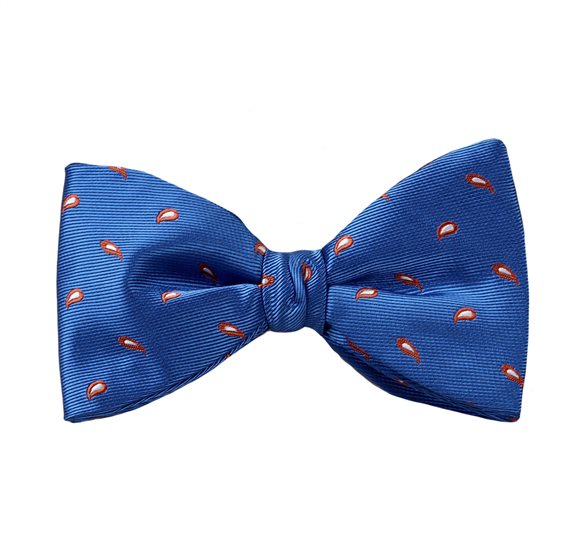 Papillon Blu Royal Paisley Marrone