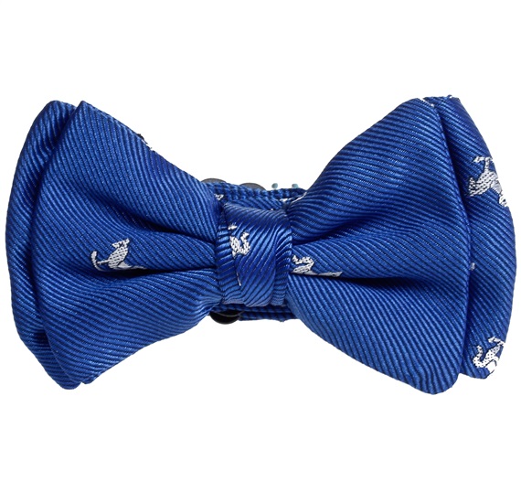Papillon Bambino Azzurro con Cavallini Bianchi