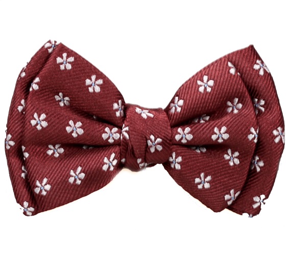 Papillon Bordeaux con Margherite
