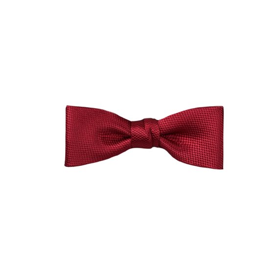 Papillon Bordeaux Bambino