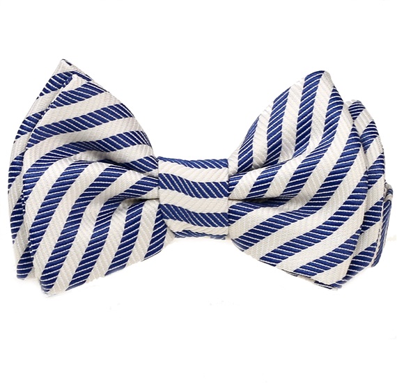 Papillon a Righe Blu Marino e Bianche