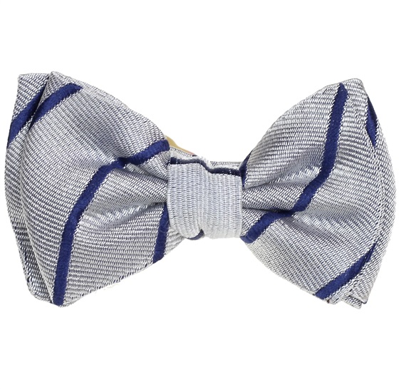Papillon Bambino Righe Blu e Grigio