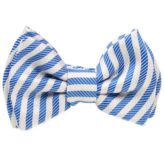 Papillon a Righe Blu e Bianche