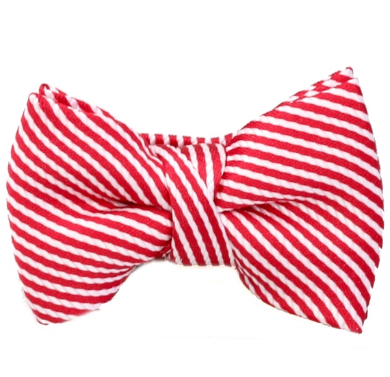 Papillon a Righe Rosse e Bianche
