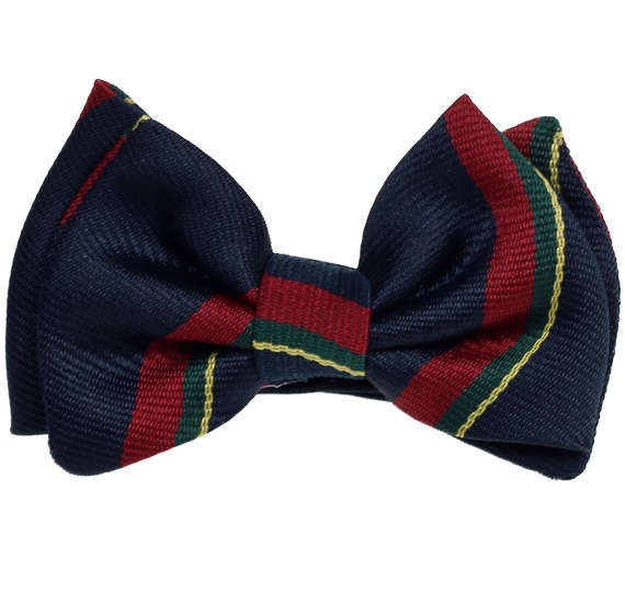 Papillon Bambino Righe Seta Blu Navy e Bordeaux