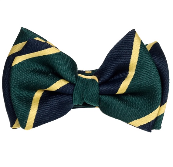 Papillon Bimbo Righe Seta Blu Navy e Verde