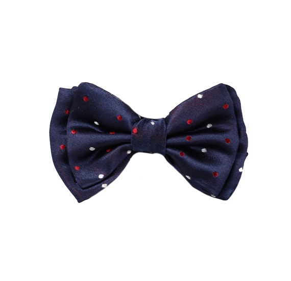 Papillon Bambino in Seta Blu Navy a Pois