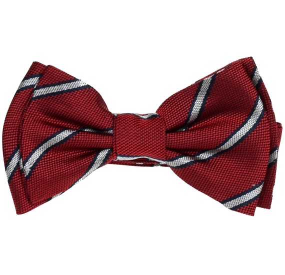 Papillon Bambino in Seta Bordeaux a Righe Bianche
