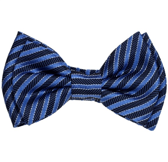 Papillon Bambino in Seta a Righe Blu