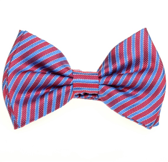 Papillon Bambino in Seta a Righe Rosse e Blu