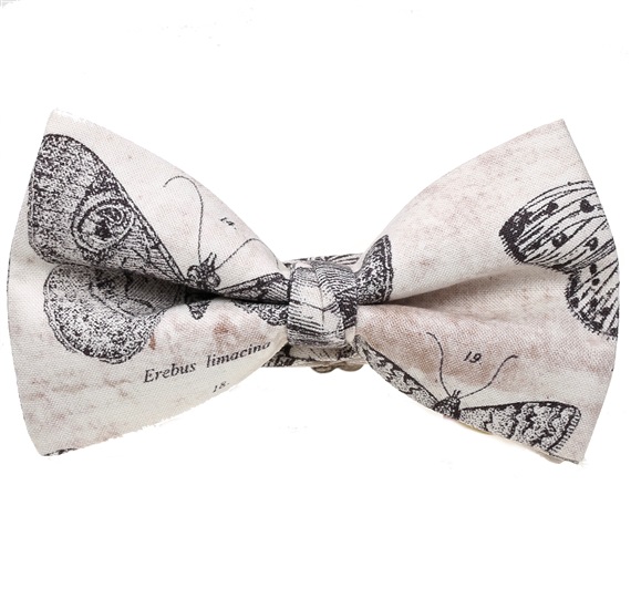 Papillon Beige con Farfalle