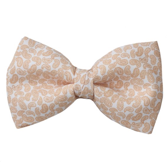 Papillon Beige Paisley