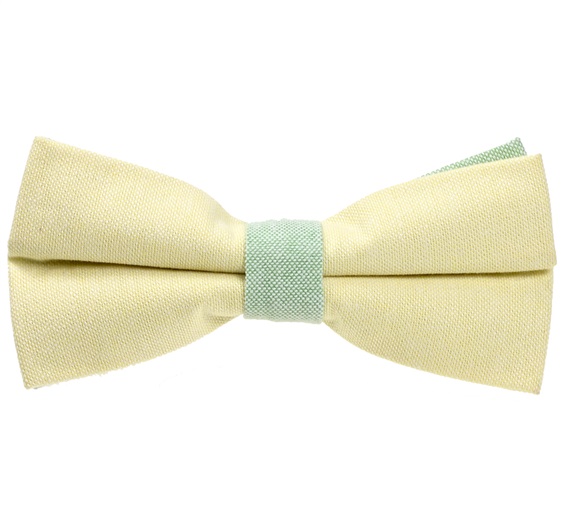 Papillon Bicolore Giallo e Verde