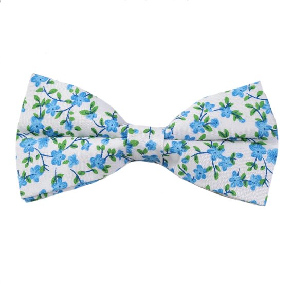 Papillon Bianco Fiori Blu