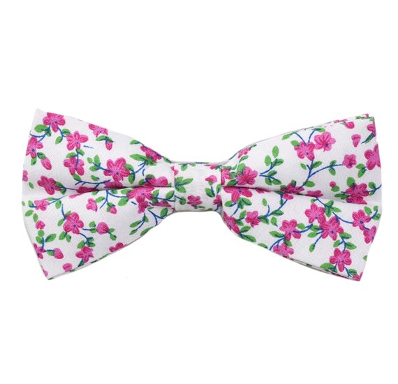 Papillon Bianco Fiori Fucsia