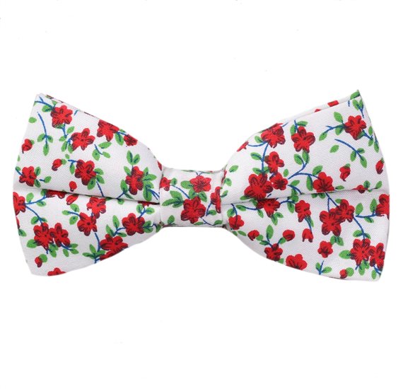 Papillon Bianco Fiori Rossi