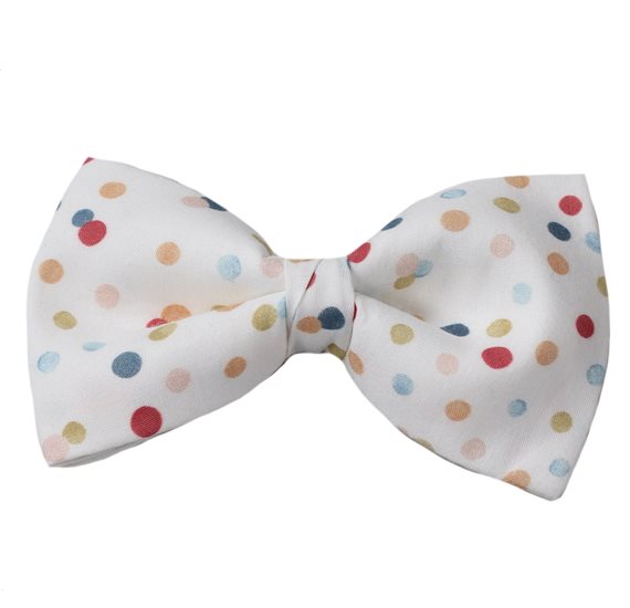 Papillon Bianco a Pois