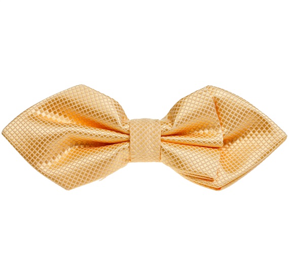 Papillon Giallo Bogart