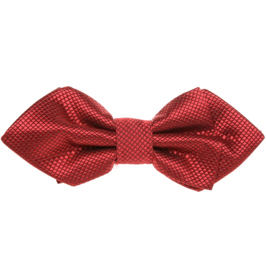 Papillon Borgogna