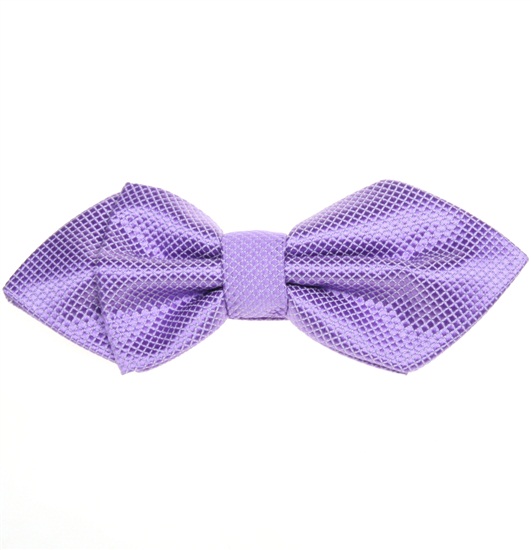 Papillon Bogart Malva