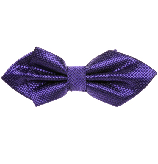 Papillon Viola Bogart