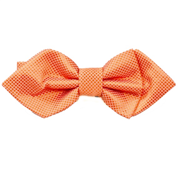 Papillon Bogart Arancione
