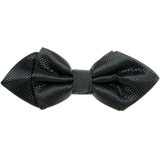 Papillon Nero Bogart