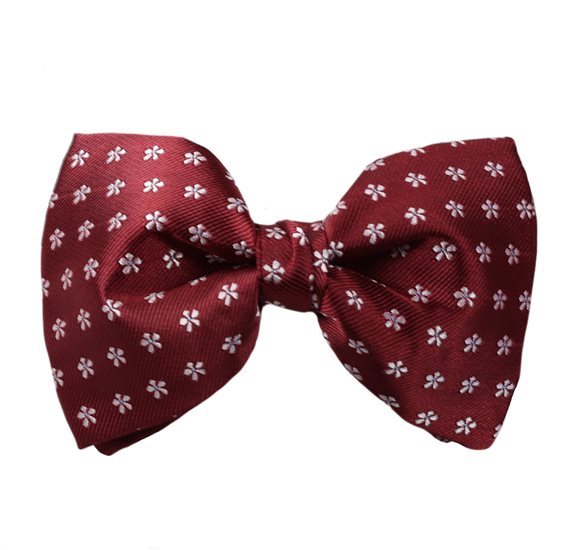 Papillon Bordeaux Margherite