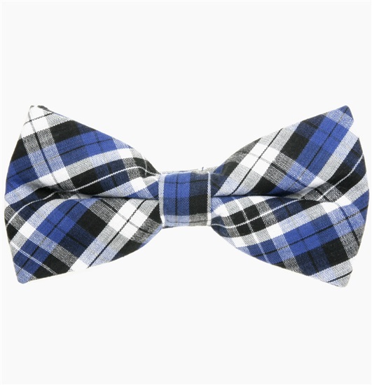 Papillon Scozzese Blu e Nero
