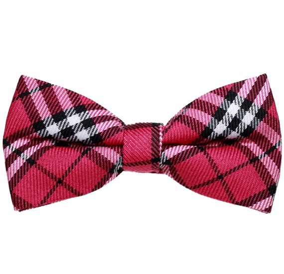 Papillon Scozzese Fucsia e Nero